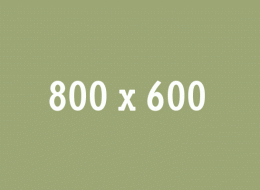 Local Travel Marketplace