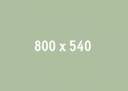 Local Travel Marketplace