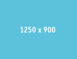 Local Travel Marketplace