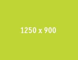 Local Travel Marketplace