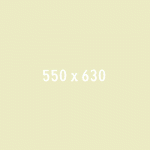 Local Travel Marketplace